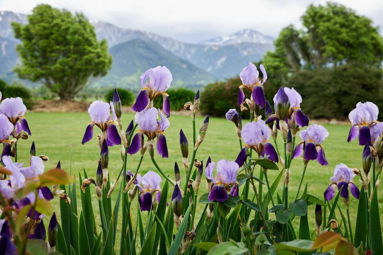 Awatea Country Bed & Breakfast Kaikoura Exterior foto