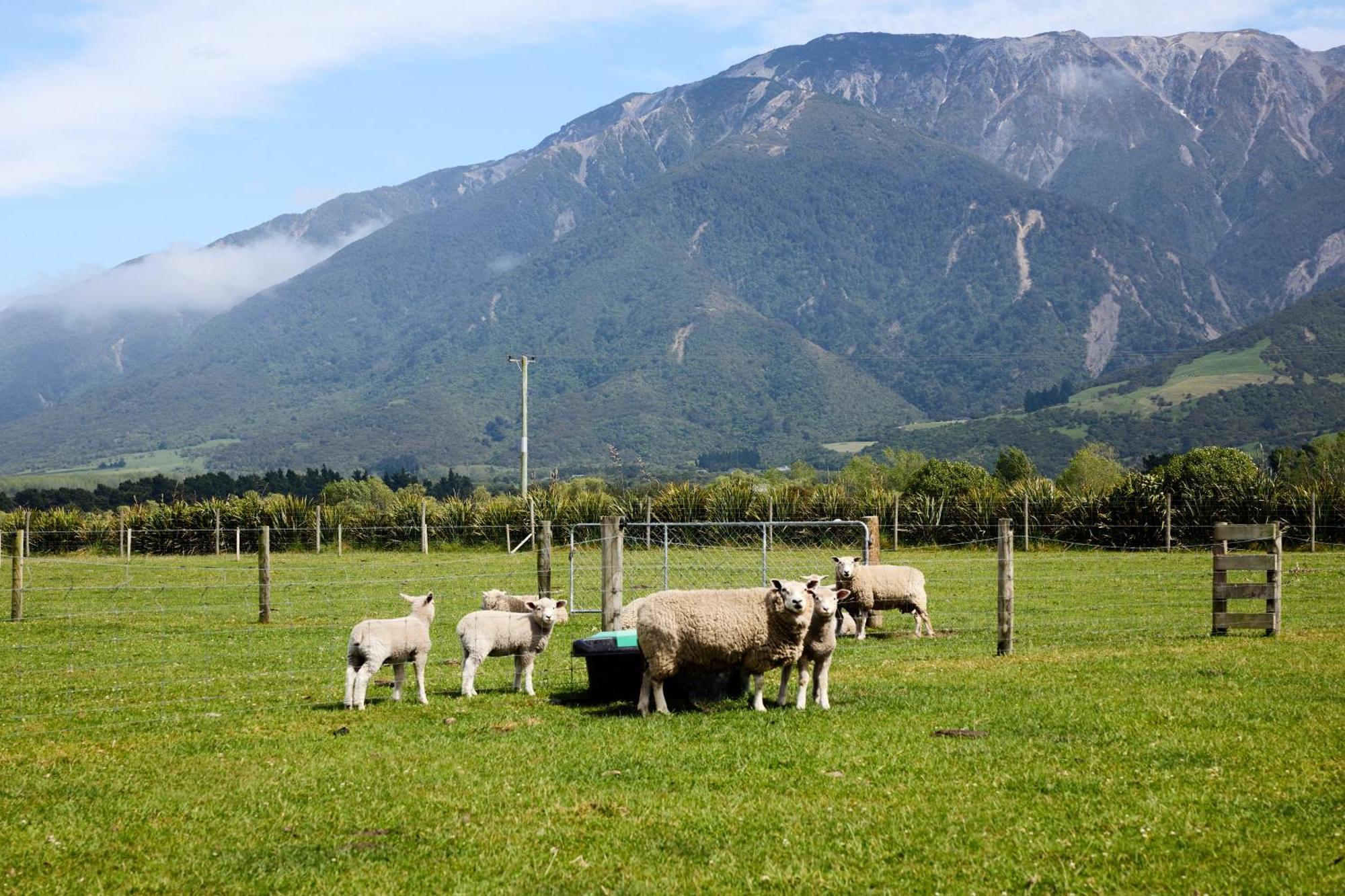 Awatea Country Bed & Breakfast Kaikoura Exterior foto